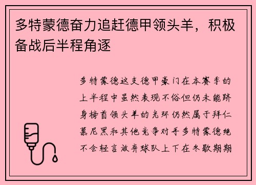 多特蒙德奋力追赶德甲领头羊，积极备战后半程角逐